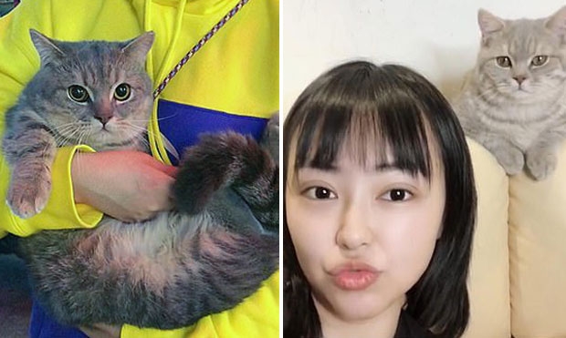 ‘여덟 끼’라는 뜻의 ‘빠뚠’은 고양이 식욕이 하도 왕성해 붙인 이름이다. 오른쪽은 빠뚠과 반려인 웬모양. ‘여덟 끼’라는 뜻의 ‘빠뚠’은 고양이 식욕이 하도 왕성해 붙인 이름이다. 오른쪽은 빠뚠과 반려인 웬모양.
