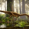 [다이노+] 브라질서 ‘티라노의 가장 오랜 조상뻘’ 신종 공룡 발견