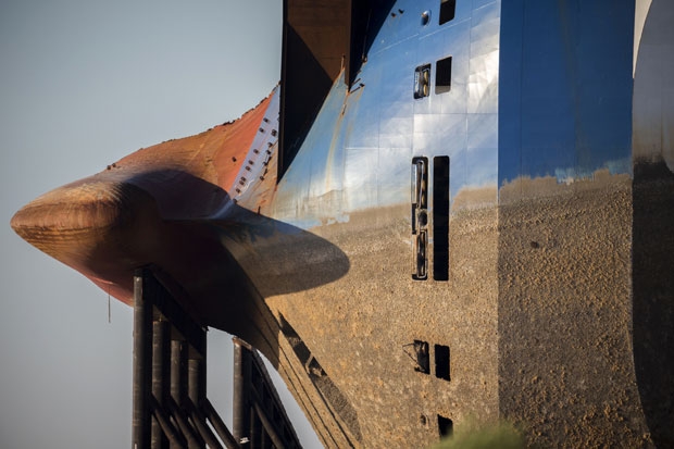 사진=AP 연합뉴스