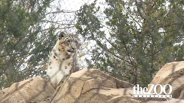 사진=루이빌동물원