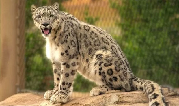 사진=루이빌동물원