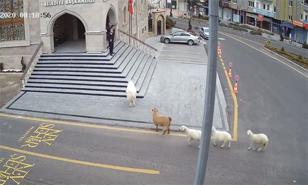 사진=네브셰히르 시청