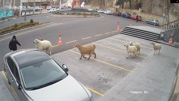 사진=네브셰히르 시청