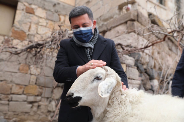 한동안 난동을 부리던 양 무리는 결국 보고를 받고 나온 관리 직원들에게 제압당했다. 라심 아리 네브셰히르 시장도 직접 나와 수습을 지휘했다./사진=네브셰히르 시청