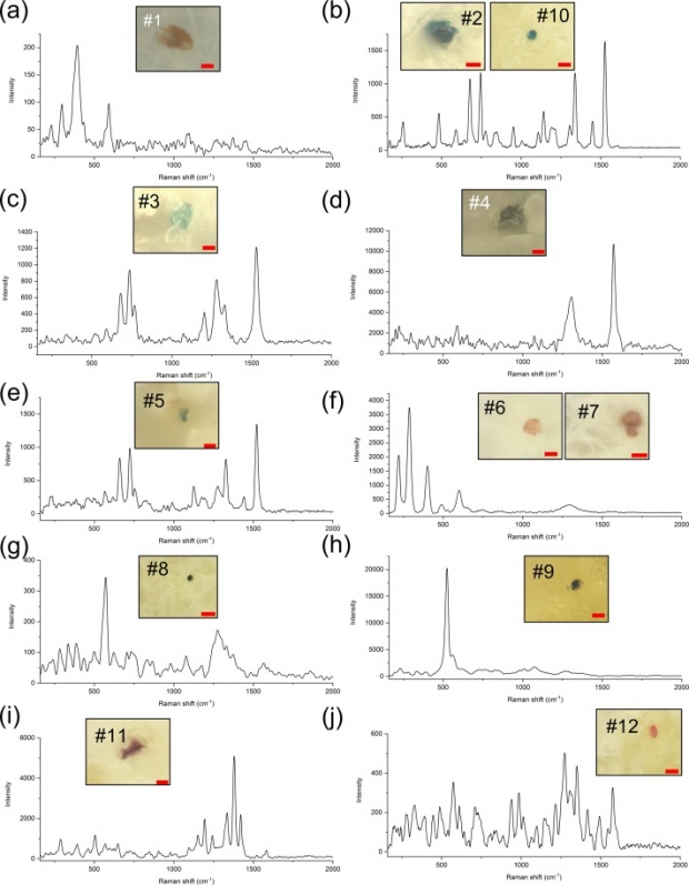 인간 태반에서 발견된 미세플라스틱의 현미경 사진과 라만 스펙트럼 그래프(사진=국제 환경)