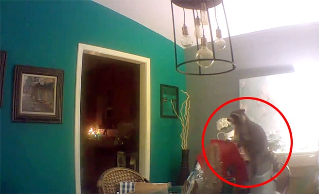 사진=오브리 아이코벨리 페이스북