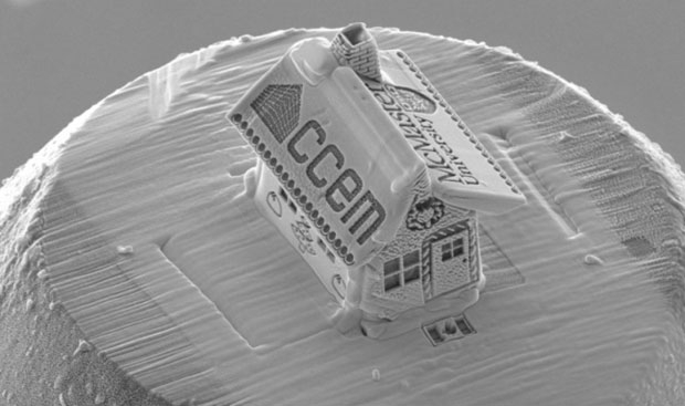 지난해 캐나다 맥마스터대학교 연구팀이 선보인 크리스마스 장식은 1만 나노미터(10마이크로미터) 크기였다./사진=맥마스터대 캐나다전자현미경센터