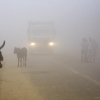 2019년 인도에서 ‘대기오염’으로 167만 명 사망 (연구)