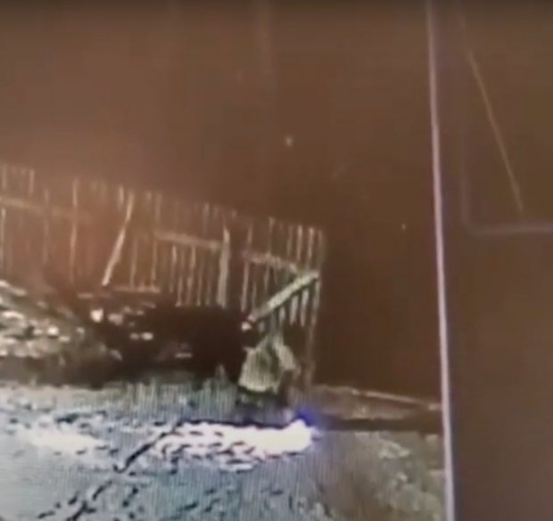 농부가 늑대와 싸우고 있는 모습.