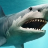 ‘최상위 바다 포식자’ 메갈로돈, 성인보다 큰 ‘2m 새끼’ 낳았다