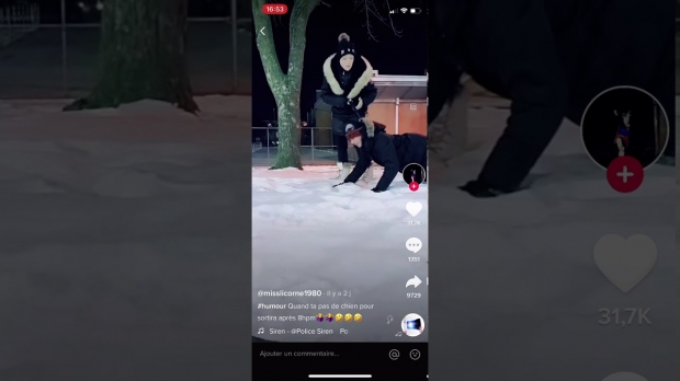 유튜브에는 당시 문제의 여성과 남성이 체포 전 SNS를 통해 개줄을 메고 산책하는 모습을 생중계한 것으로 추정되는 영상이 공유되고 있다.(사진=유튜브)