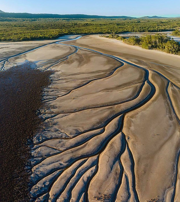 사진= 데리 모로니 페이스북