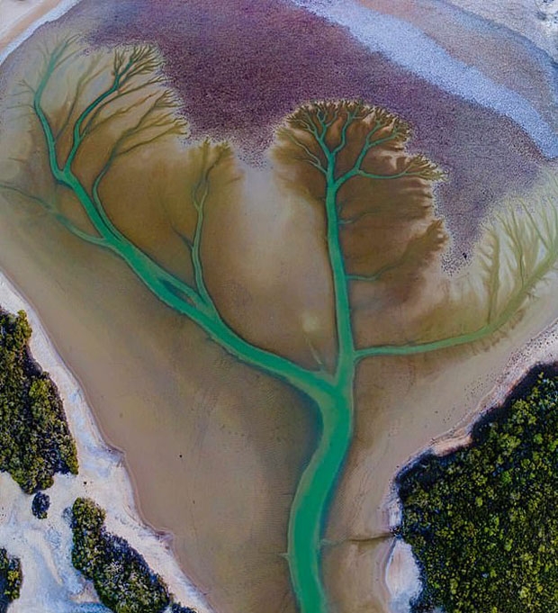 사진= 데리 모로니 페이스북