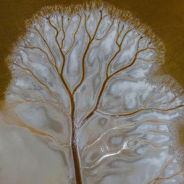 사진= 데리 모로니 페이스북