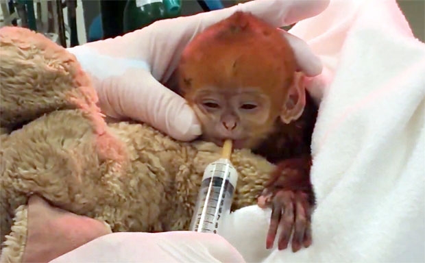 사진=필라델피아동물원