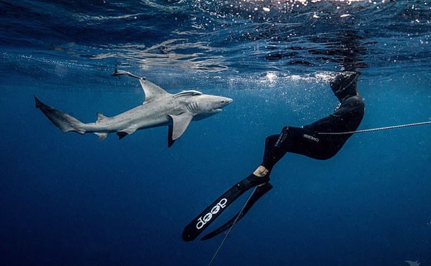 사진=태너 맨셀 인스타그램