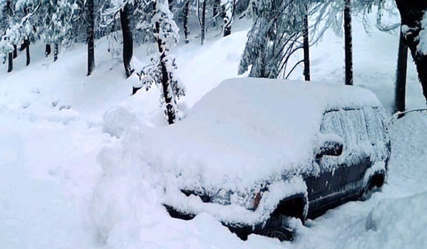 현장에는 반려견들을 데리고 가파른 길을 따라 집으로 향하던 그가 다시 발걸음을 돌린 흔적이 남아 있었다.
