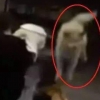 [여기는 중국] 큰 개가 하늘에서 ‘뚝’?!…대형견과 충돌한 여성