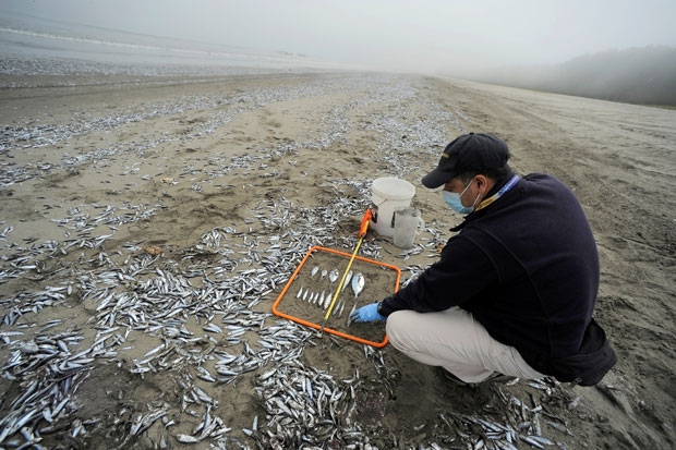 사진=로이터 연합뉴스