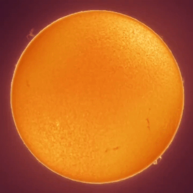 쵤영=앤드루 매카시