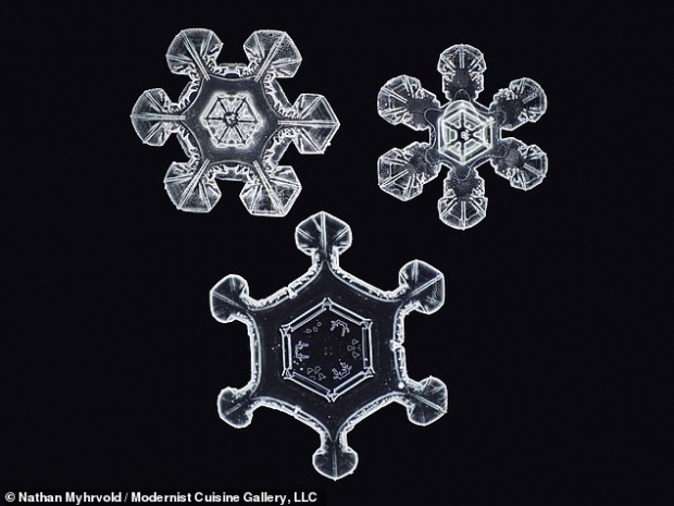 눈송이 결정의 모습.(사진=네이선 미어볼드)