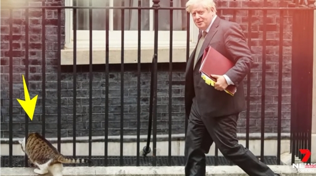 보리스 존슨 전 영국 총리 곁을 지나가는 래리의 모습