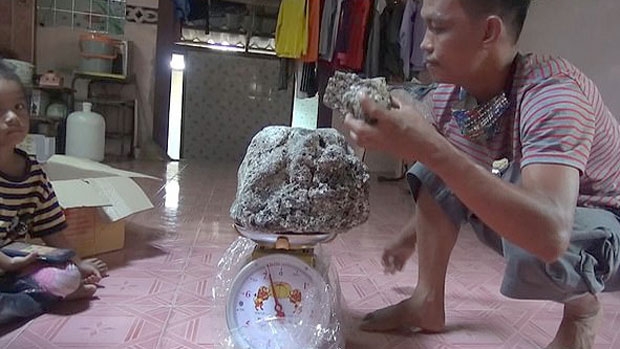 이들이 주운 덩어리 무게는 각각 7㎏, 600g으로 지난달 태국 나콘시탐마랏주의 한 여성이 주운 용연향과 비슷한 수준이었다.