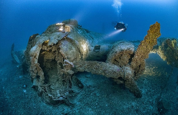 사진=마틴 스트미스카