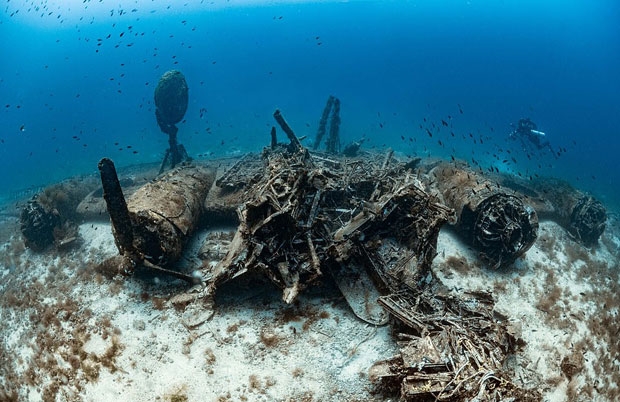 사진=마틴 스트미스카