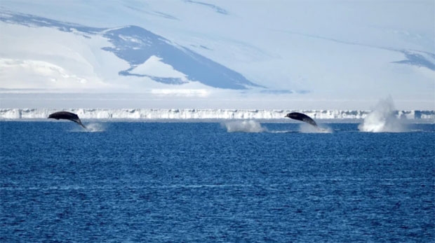 사진=뉴질랜드남극연구소
