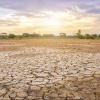 2000년 만에 살인적인 가뭄 온 유럽’기후 재앙’ 현실로