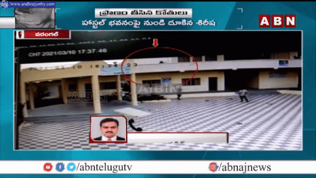 추락과 동시에 시리샤에게 달려들던 원숭이 두 마리도 양 옆으로 흩어졌다. 갑작스러운 상황에 놀란 주민 너덧명이 사고 현장으로 달려갔지만 시리샤는 끝내 숨을 거뒀다.