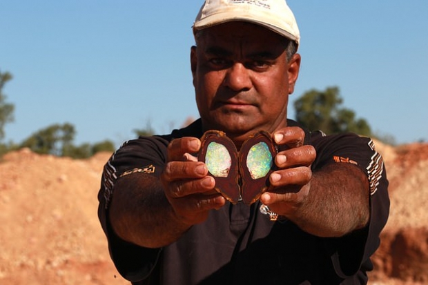 데이비드 다비는 지난 몇십 년간 오팔을 채굴해 왔지만, 안드레우 남매가 찾아낸 오팔보다 좋은 것을 찾은 적이 없다.