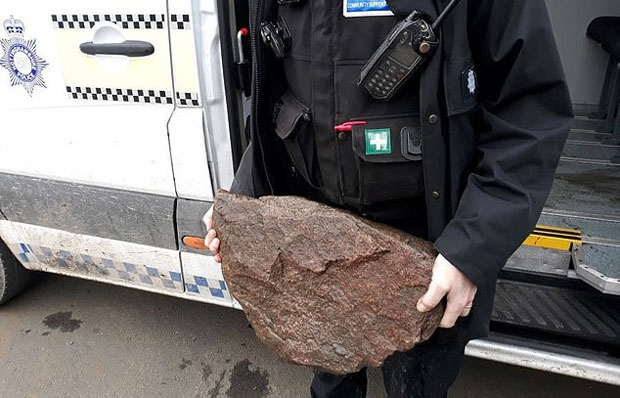 개를 죽이기 위해 누군가 고의로 벌인 짓이라 판단한 구조자는 동물보호단체 및 경찰에 해당 사실을 신고했다.