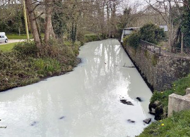 MayLewis19 트위터