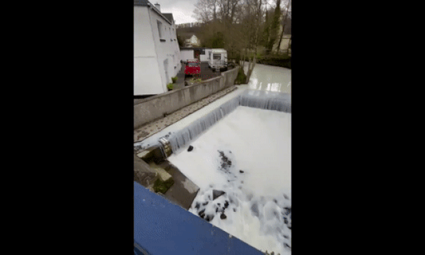 MayLewis19 트위터