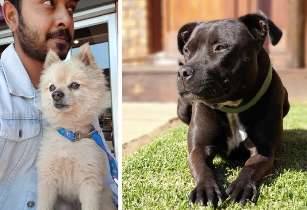 처키(왼쪽)와 제시의 모습.(사진=페이스북)