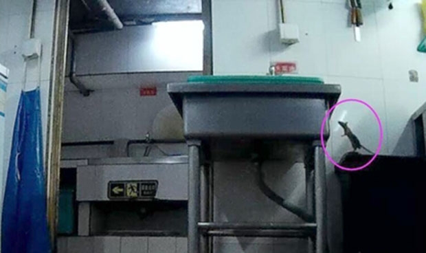 유해식품죄는 생산·판매한 식품에 유독·유해성 물질을 고의로 섞거나 유독·유해성 물질이 들어있는 걸 알면서도 판매하는 등 국가식품위생관리법규를 위반한 식품 생산·판매자에게 적용된다. 사진은 2017년 폭로된 중국의 유명 훠궈(火鍋·중국식 샤부샤부) 식당체인인 하이디라오(海底撈)의 비위생적인 주방관리 상황.