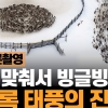 [애니멀플릭스] 태풍처럼 회전…드론이 포착한 순록 떼의 방어 행동