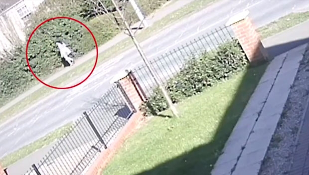 목격자 증언과 CCTV 자료 등을 확보한 경찰은 현재 특정한 20대 초반 백인 여성을 추적 중이다. SNS에도 아기가 입고 있던 옷가지와 담요 사진을 올려 아기 엄마가 자수하도록 설득하고 있다.