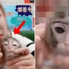 [영상] 원숭이 얼굴에 짙은 눈화장…中 동물원 또 동물학대