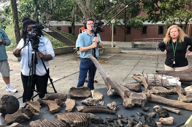 유물 대부분은 플로리다자연사박물관에 기증했다.