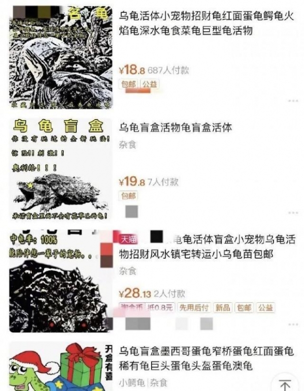 온라인에서 판매 중인 반려동물 일반택배로 판매 중이다.