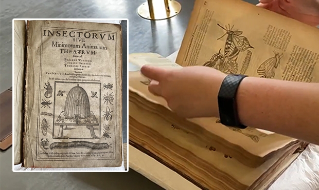 해당 고서는 영국에서 출판된 최초의 곤충 서적이다. 트리니티홀 도서관이 한 수집가 가족에게 기증받아 1996년부터 소장했다. 보존 가치가 높은 17세기 희귀 고서라 기증 이후 줄곧 서고에 보관했다./케임브리지 트리니티홀 도서관