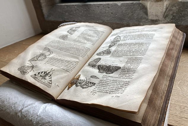 케임브리지 트리니티홀 도서관