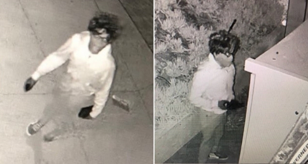 미국 현지시간으로 지난 2일 캘리포니아 로스앤젤레스 경찰은 백인으로 위장하고 지난 1년간 부유한 가정을 골라 절도를 저지른 흑인 남성을 체포했다. 범죄 현장에서 찍힌 변장한 절도범의 모습