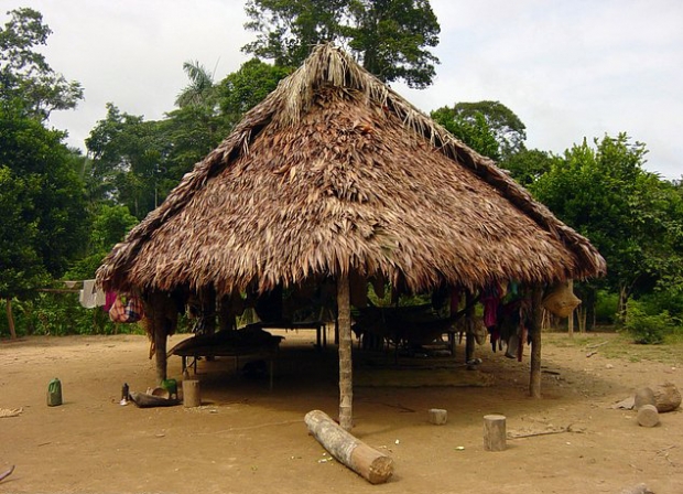 치마네이족의 전형적인 가옥.(사진=AP 연합뉴스)