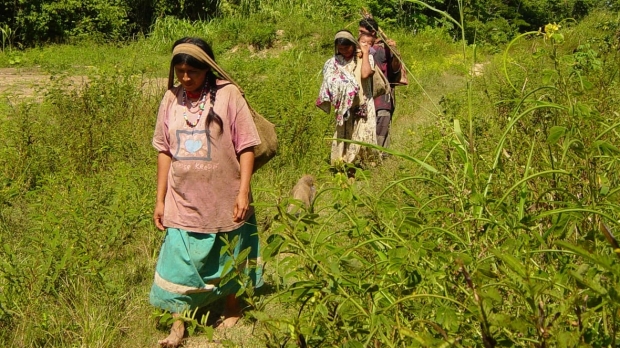 치마네이족 여성들은 일반적으로 하루에 1만6000보 이상을 걷는다.(사진=마이클 거번/UC 산타크루즈)