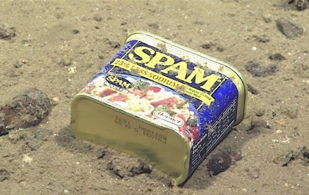 과거 마리아나 해구 심해 4,947미터 지점에서 발견된 스팸 통조림 캔/NOAA