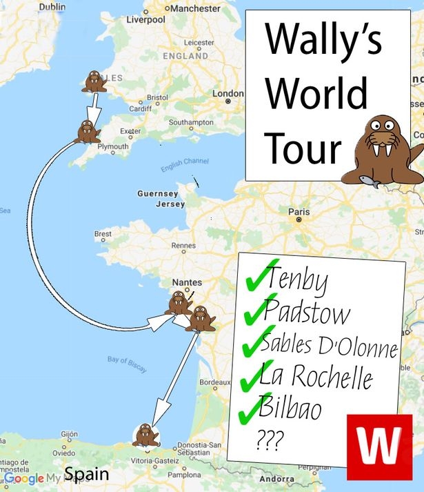 월리의 ‘월드투어’